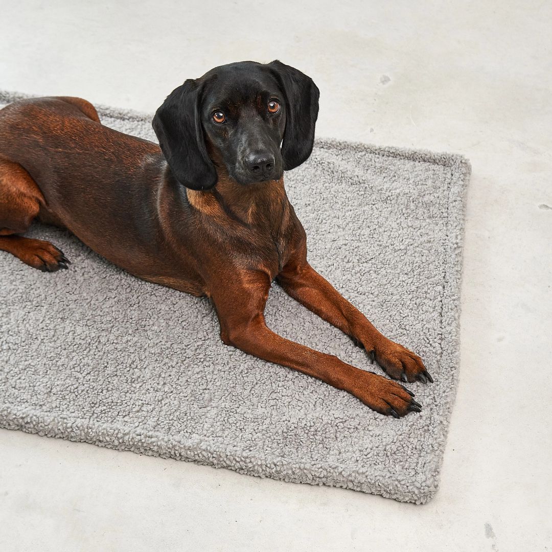 Miacara-Senso-Hundedecke-Kiesel-Mood