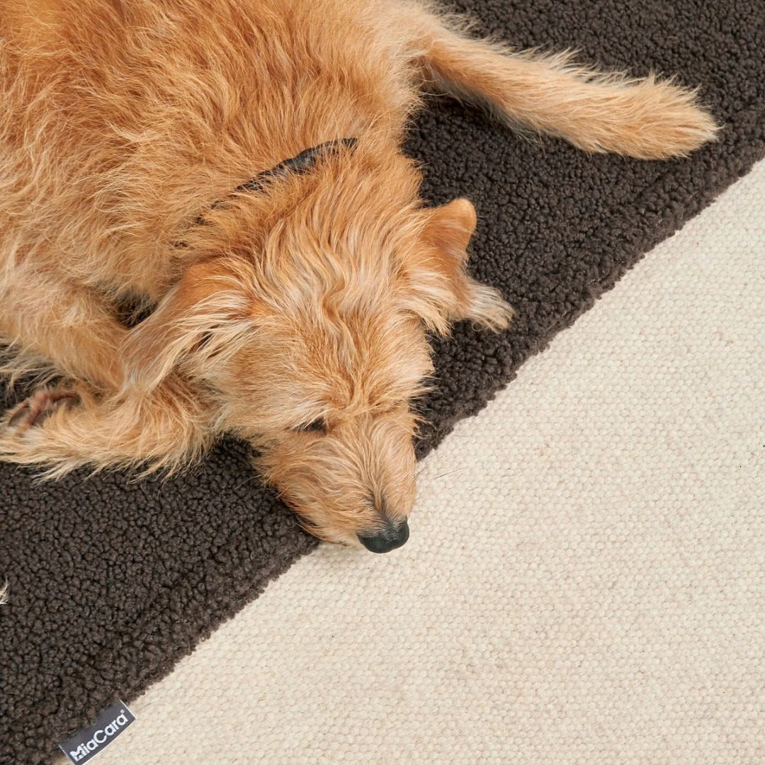 Miacara-Senso-Hundedecke-Schokolade-Mood2