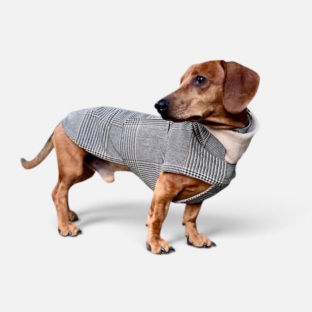 Hundemantel Brooklyn SHERLOCK DACKEL C7 x Woofstuff