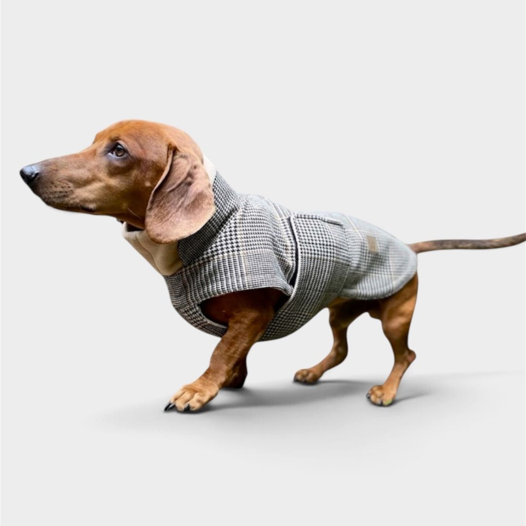 Hundemantel Brooklyn SHERLOCK DACKEL C7 x Woofstuff