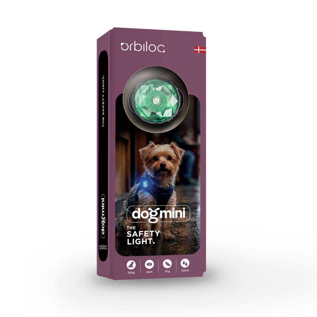 Orbiloc-Dog-Mini-Safety-Light-Mint