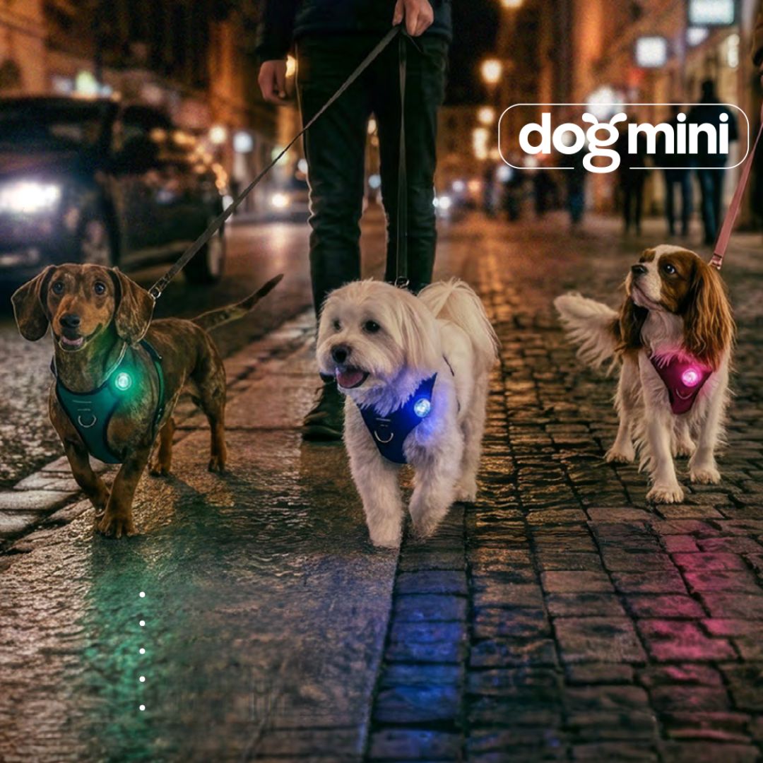 Orbiloc-Dog-Mini-Safety-Light-Mood