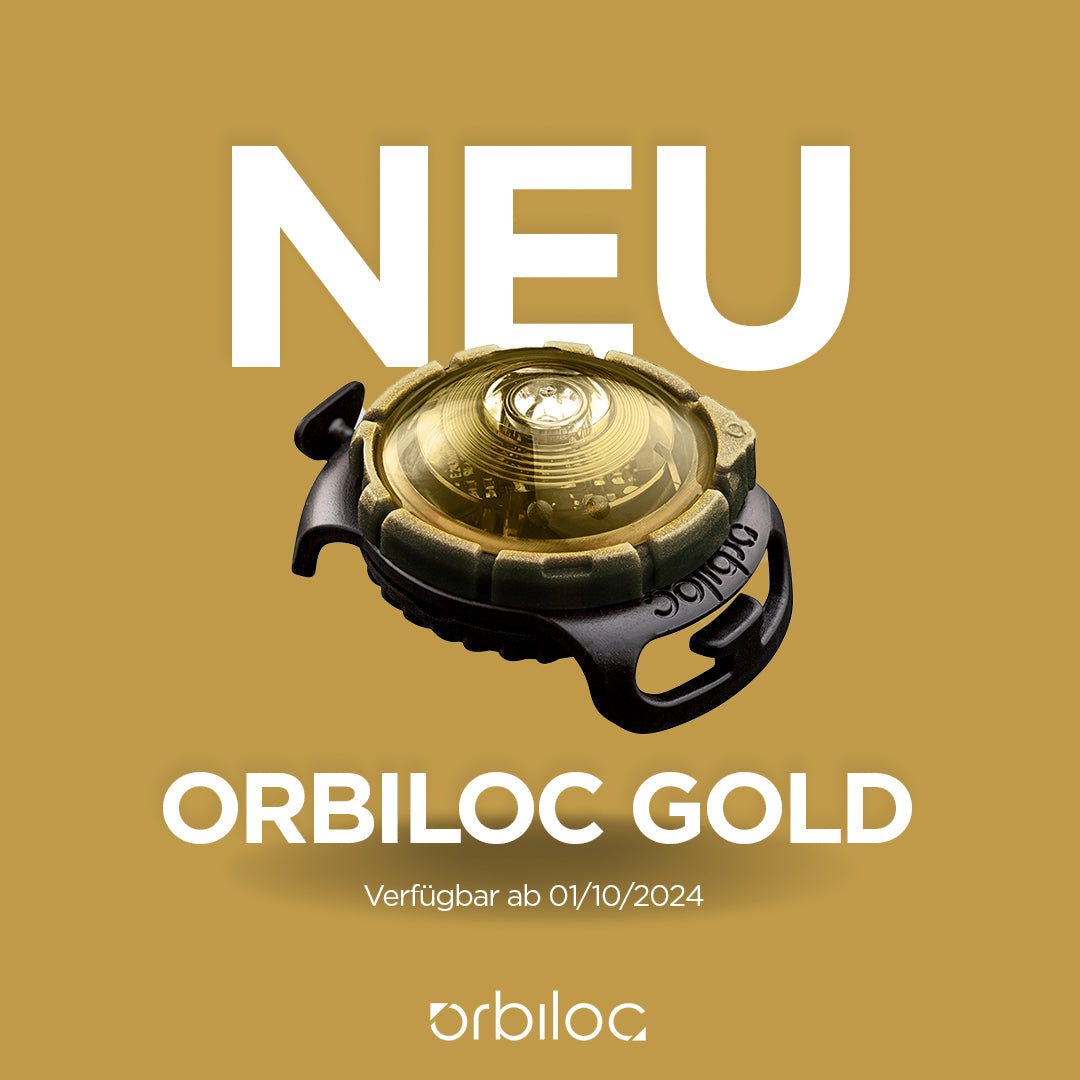 Orbiloc-Sicherheitslicht-Dog-Dual-Gold-Launch