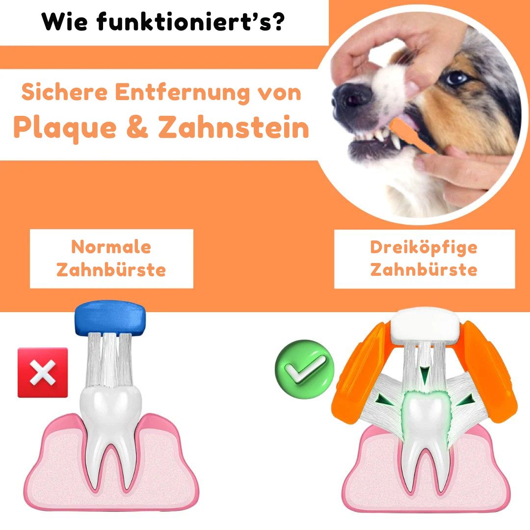 OurDogsLife-Dental-Kit-Anwendung