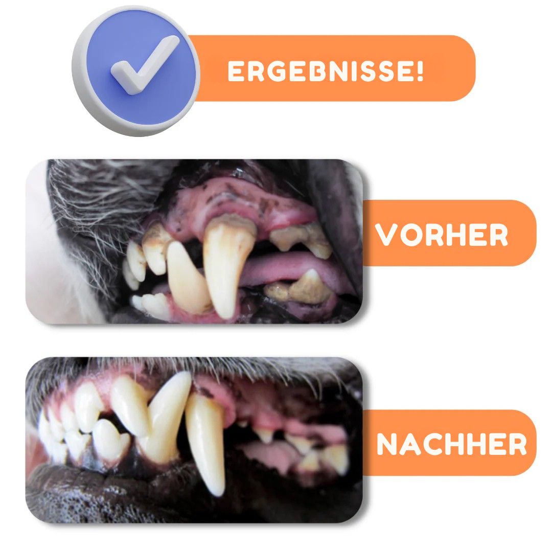 OurDogsLife-Dental-Kit-Ergebnis