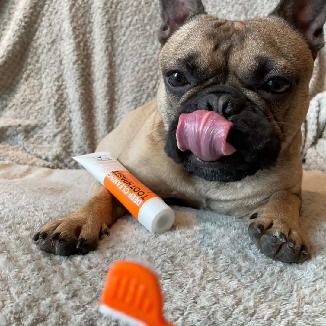 OurDogsLife-Dental-Kit-Mood
