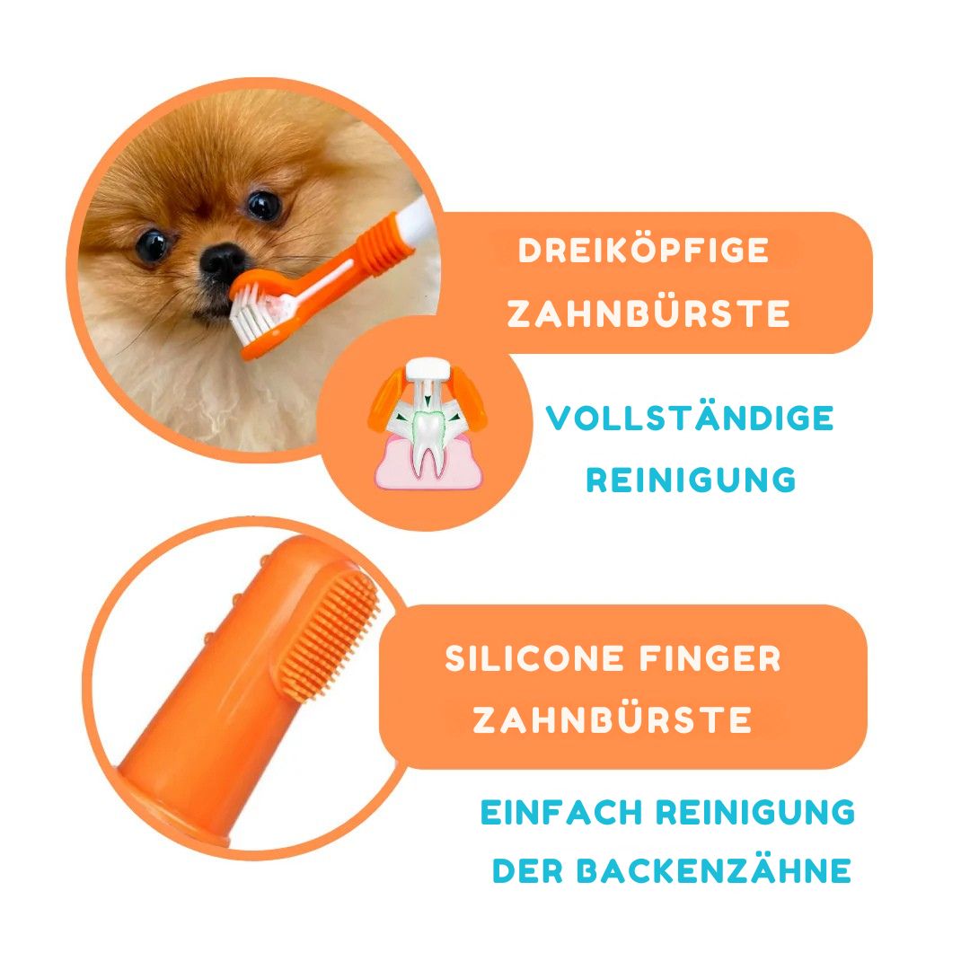 OurDogsLife-Dental-Kit-Zahnbürsten