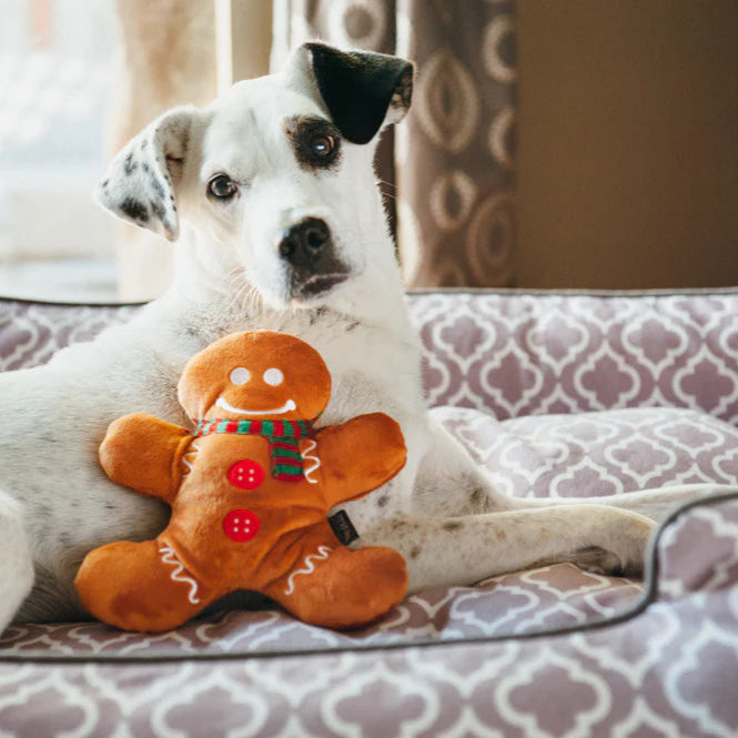 PLAY-Holiday-Classic-Gingerbread-Man-Hund