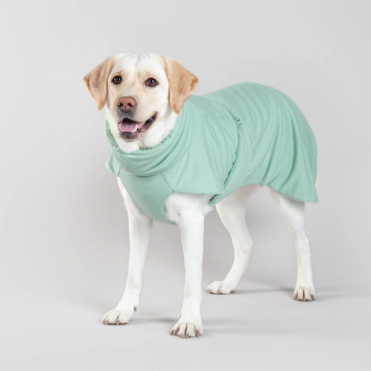 Hundebademantel Drying Coat 2Go Salbei