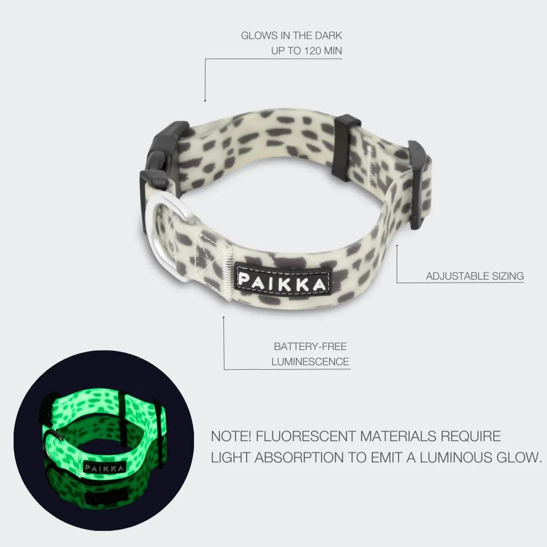 Paikka-Hundehalsband-Glow-2.0-Funktionen