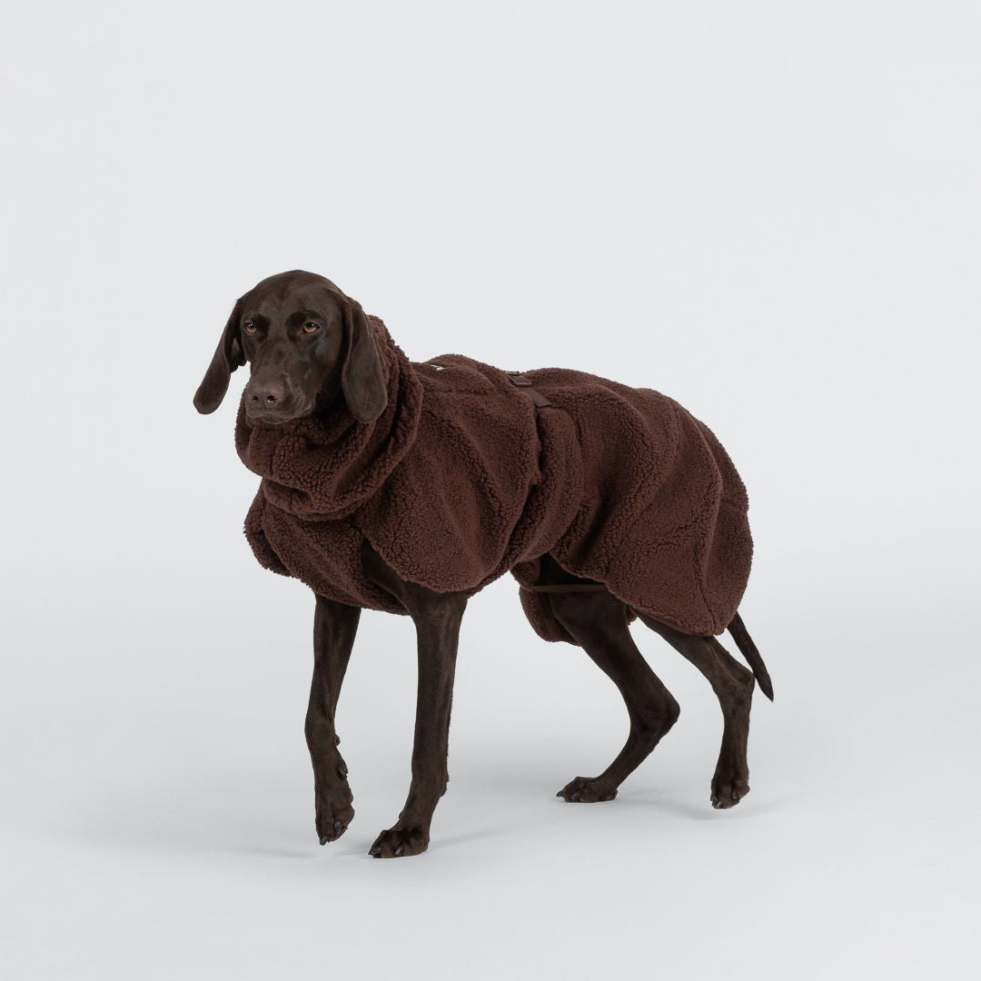 Paikka-Hundepullover-Sherpa-Chocolate-Hund4
