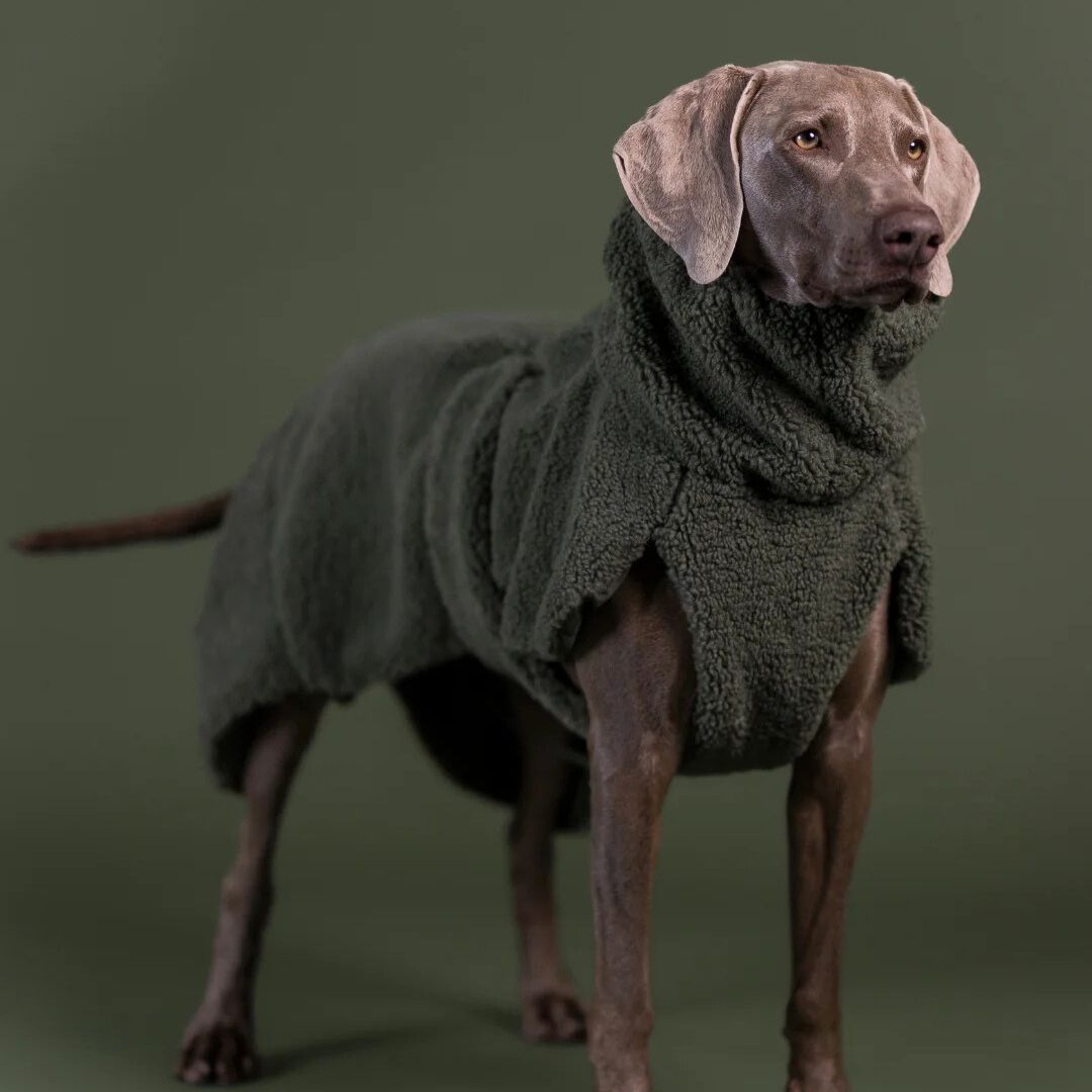 Paikka-Hundepullover-Sherpa-Olive-Hund