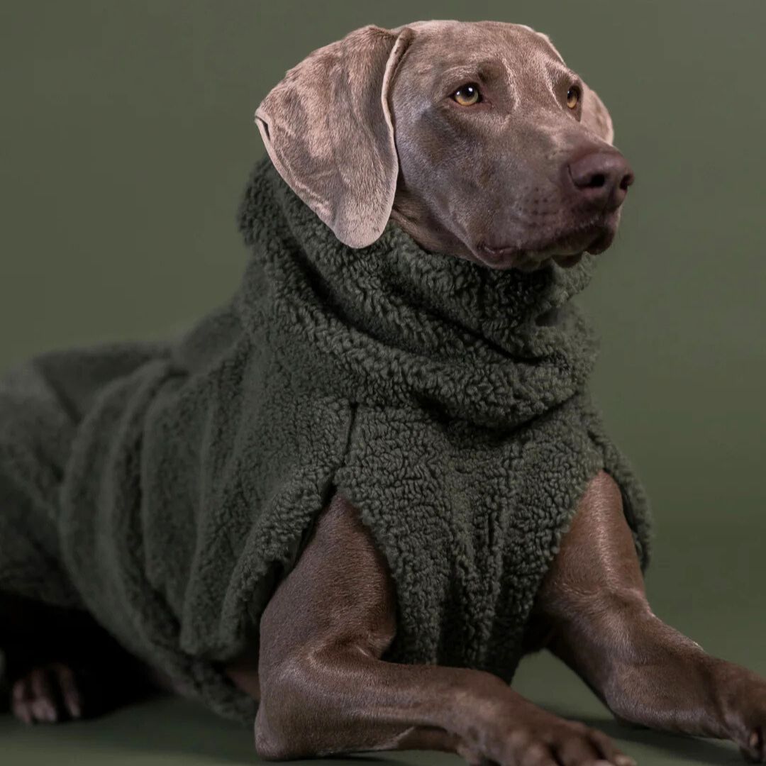 Paikka-Hundepullover-Sherpa-Olive-Hund2