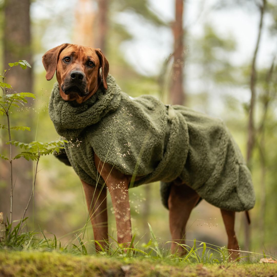 Paikka-Hundepullover-Sherpa-Olive-Hund3