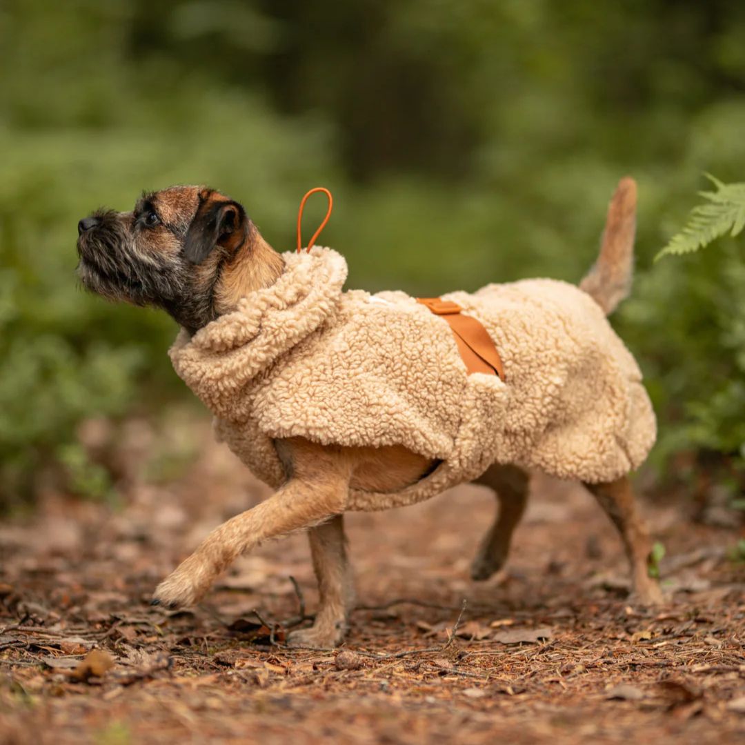 Paikka-Hundepullover-Sherpa-Taupe-Hund