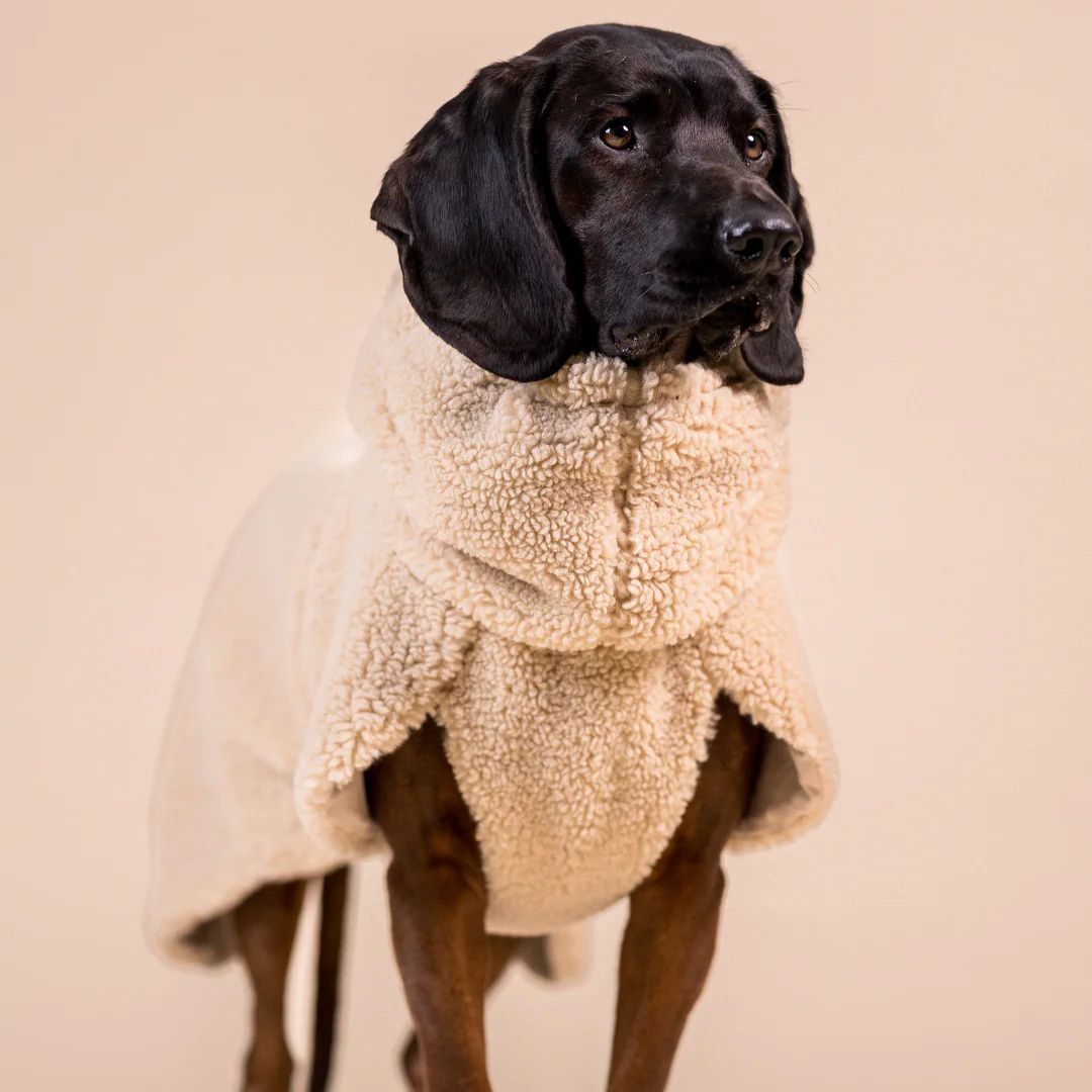 Paikka-Hundepullover-Sherpa-Taupe-Hund2
