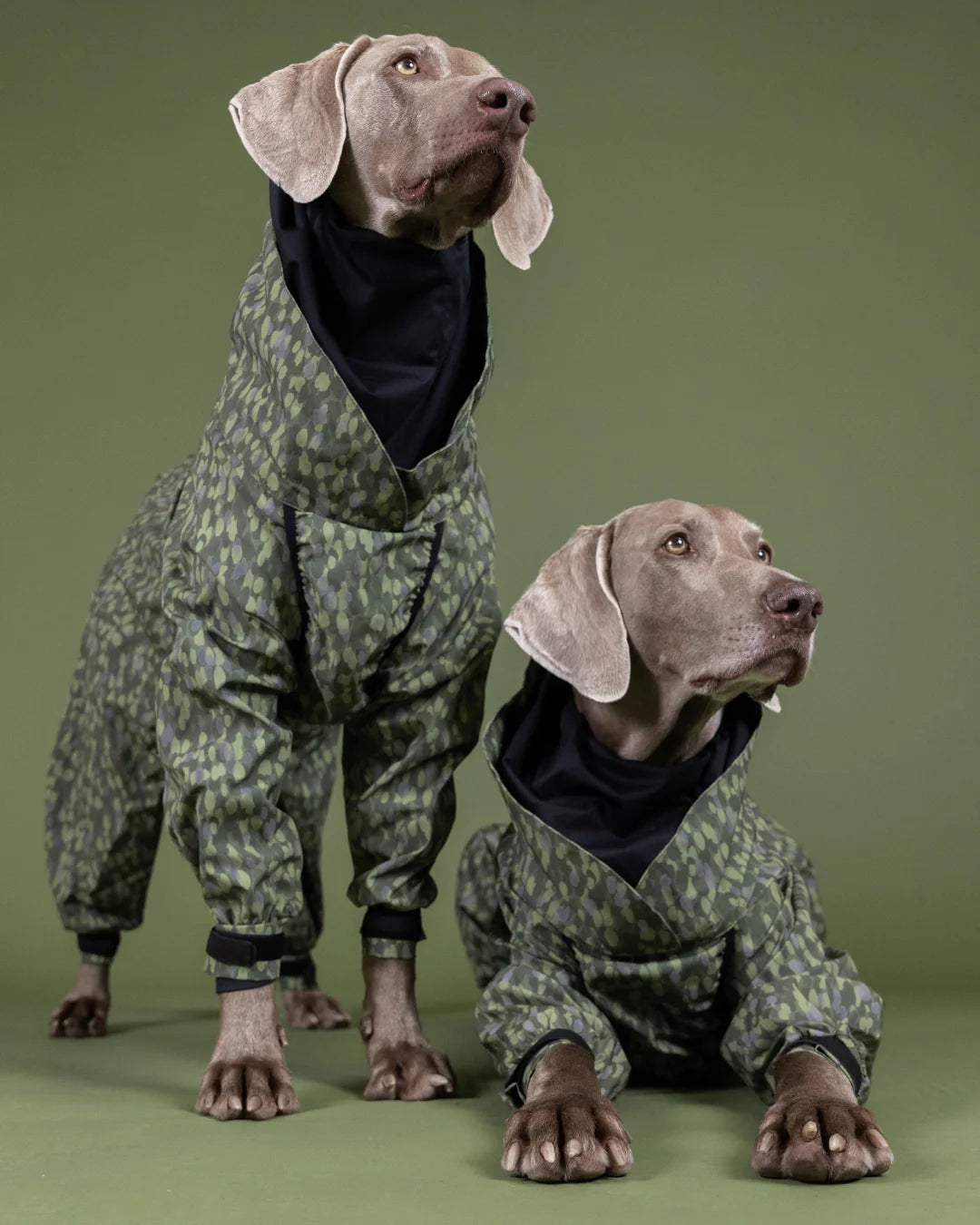 Paikka-Hunderegenmantel-Rain-Suit-Green-Hunde