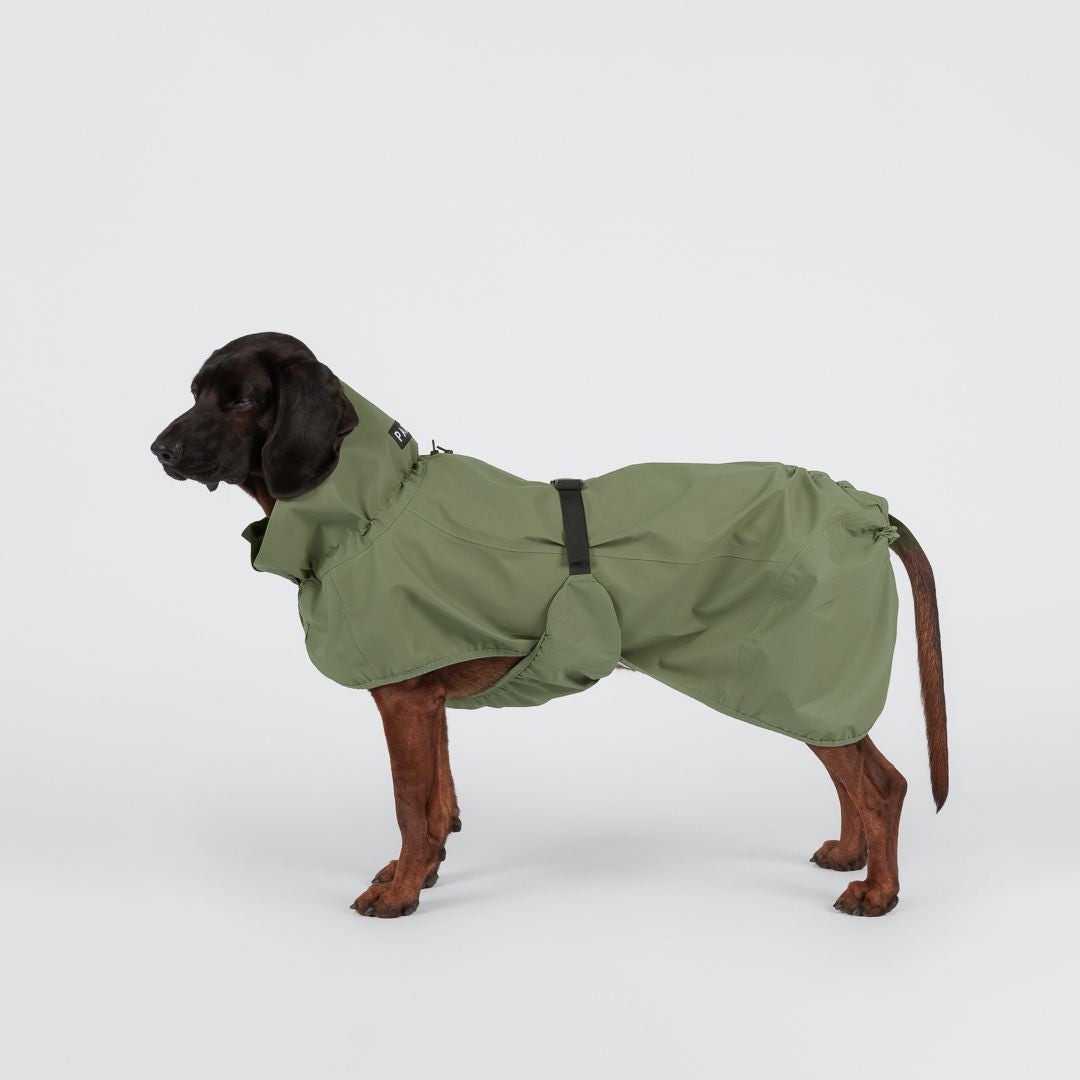Paikka-Hunderegenmantel-Reflective-Shell-Jacket-Green-Hund