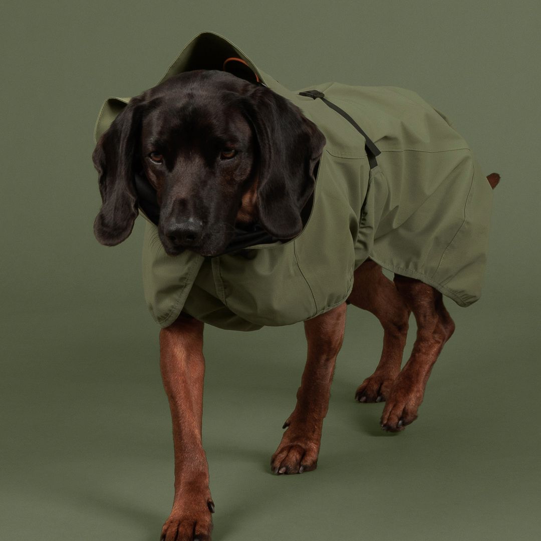 Paikka-Hunderegenmantel-Reflective-Shell-Jacket-Green-Hund3