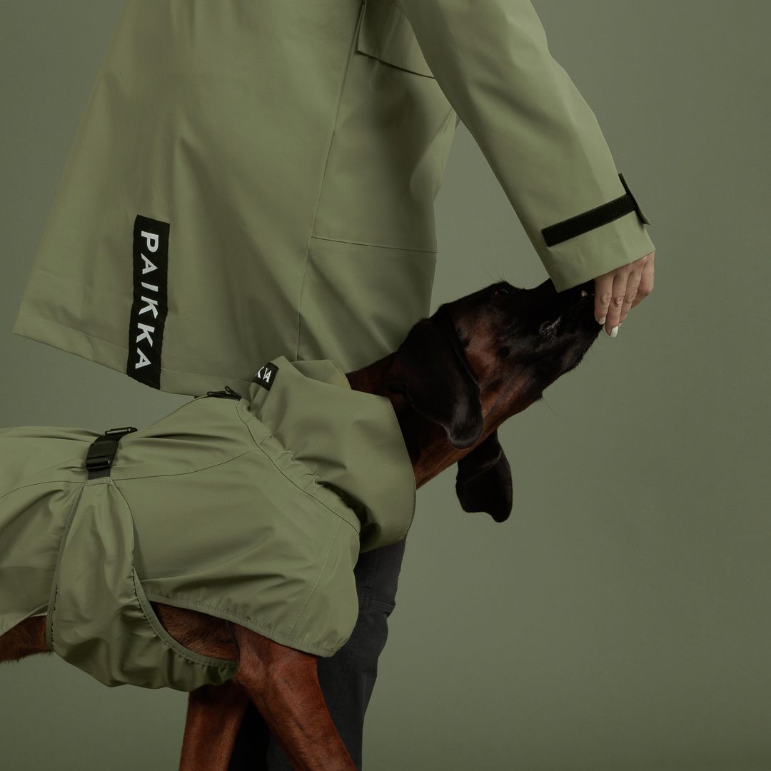 Paikka-Hunderegenmantel-Reflective-Shell-Jacket-Green-Hund6