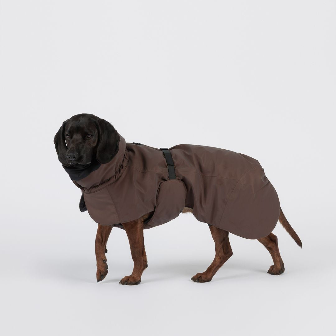 Paikka-Hundewintermantel-Seawool-Chocolate-Hund