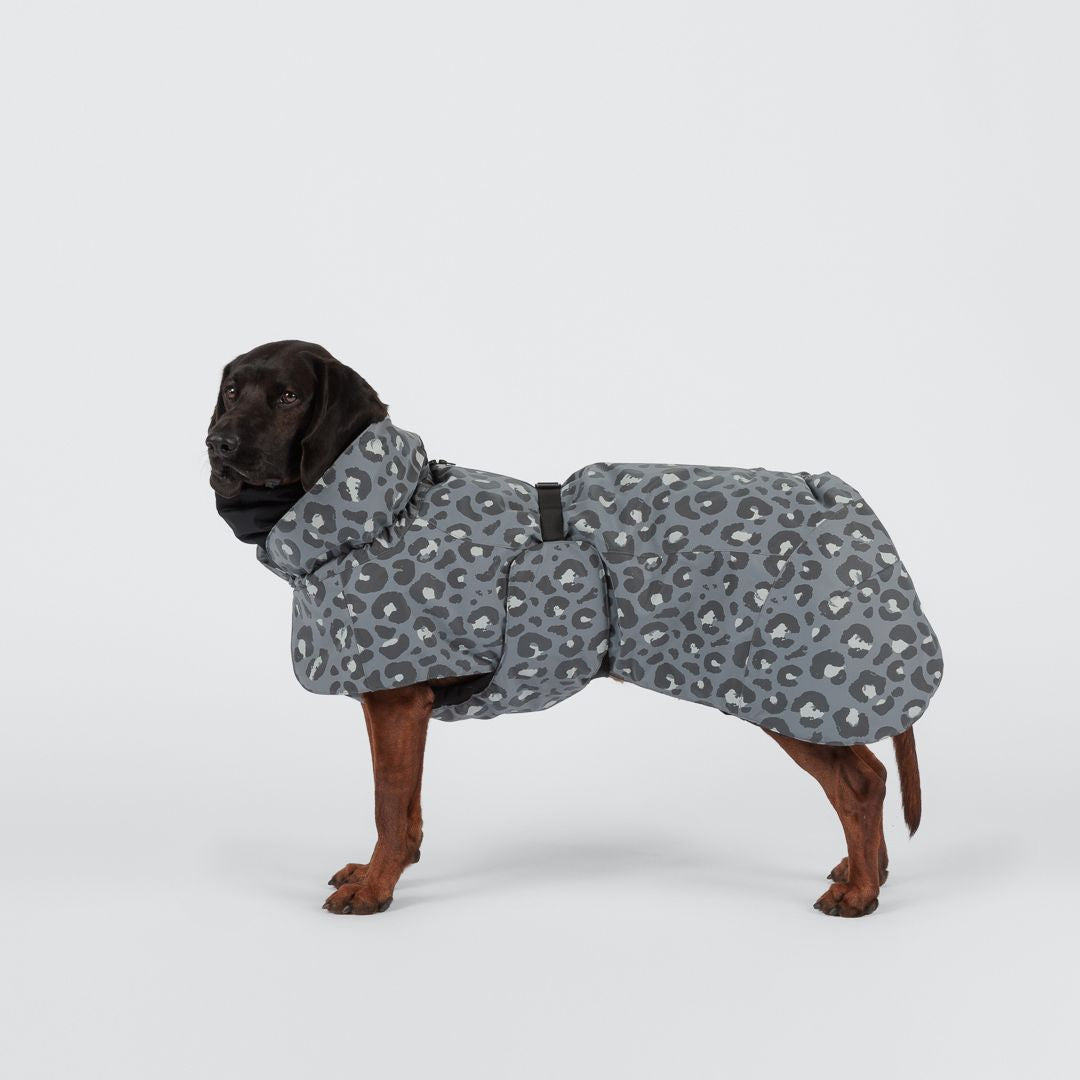Paikka-Hundewintermantel-Seawool-Grey-Leo-10