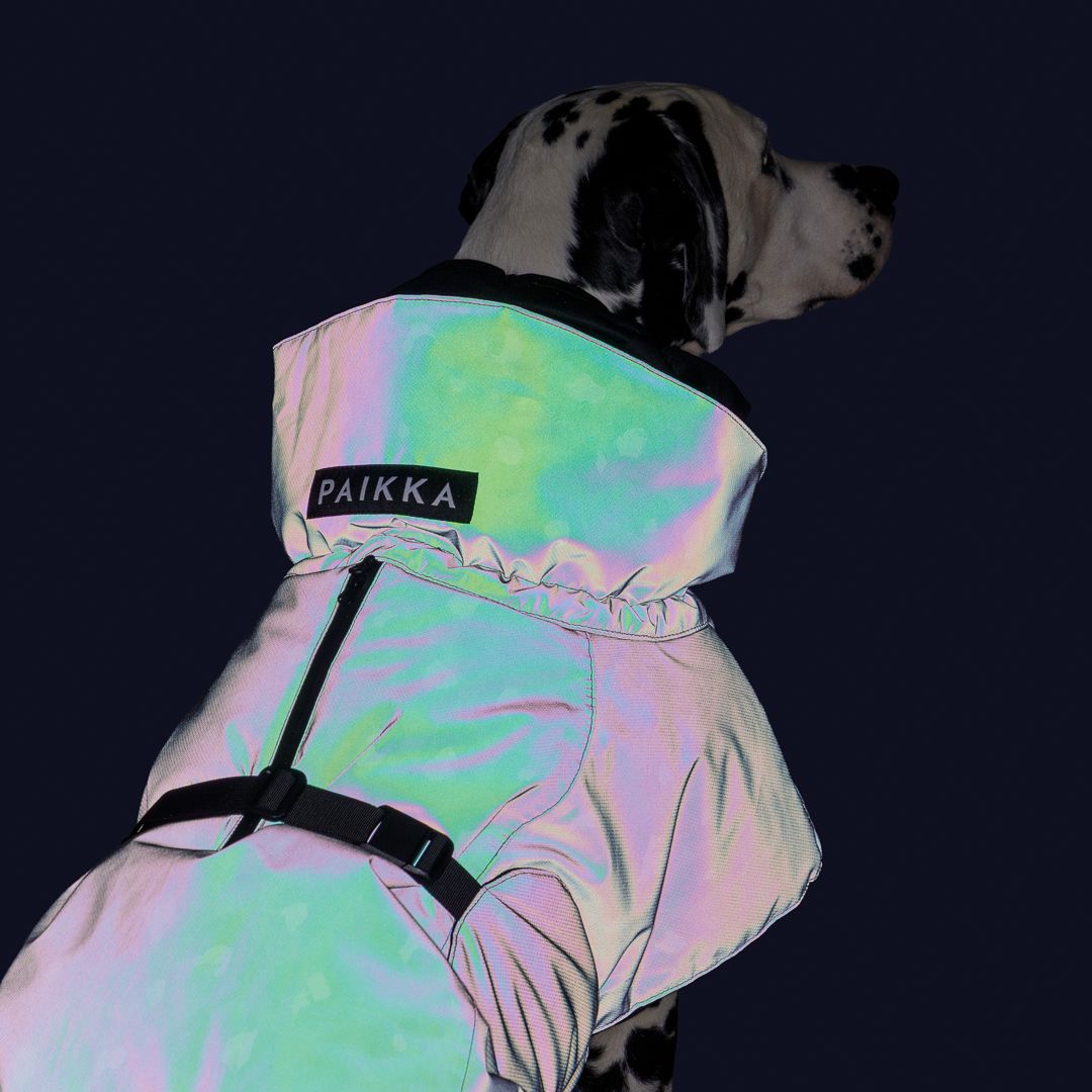 Paikka-Hundewintermantel-Seawool-Grey-Leo-4