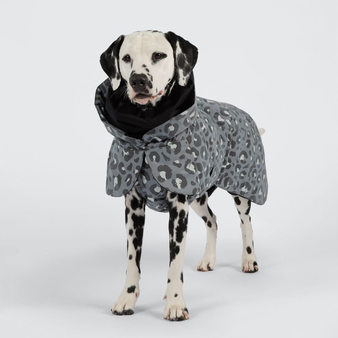 Paikka-Hundewintermantel-Seawool-Grey-Leo-Hund