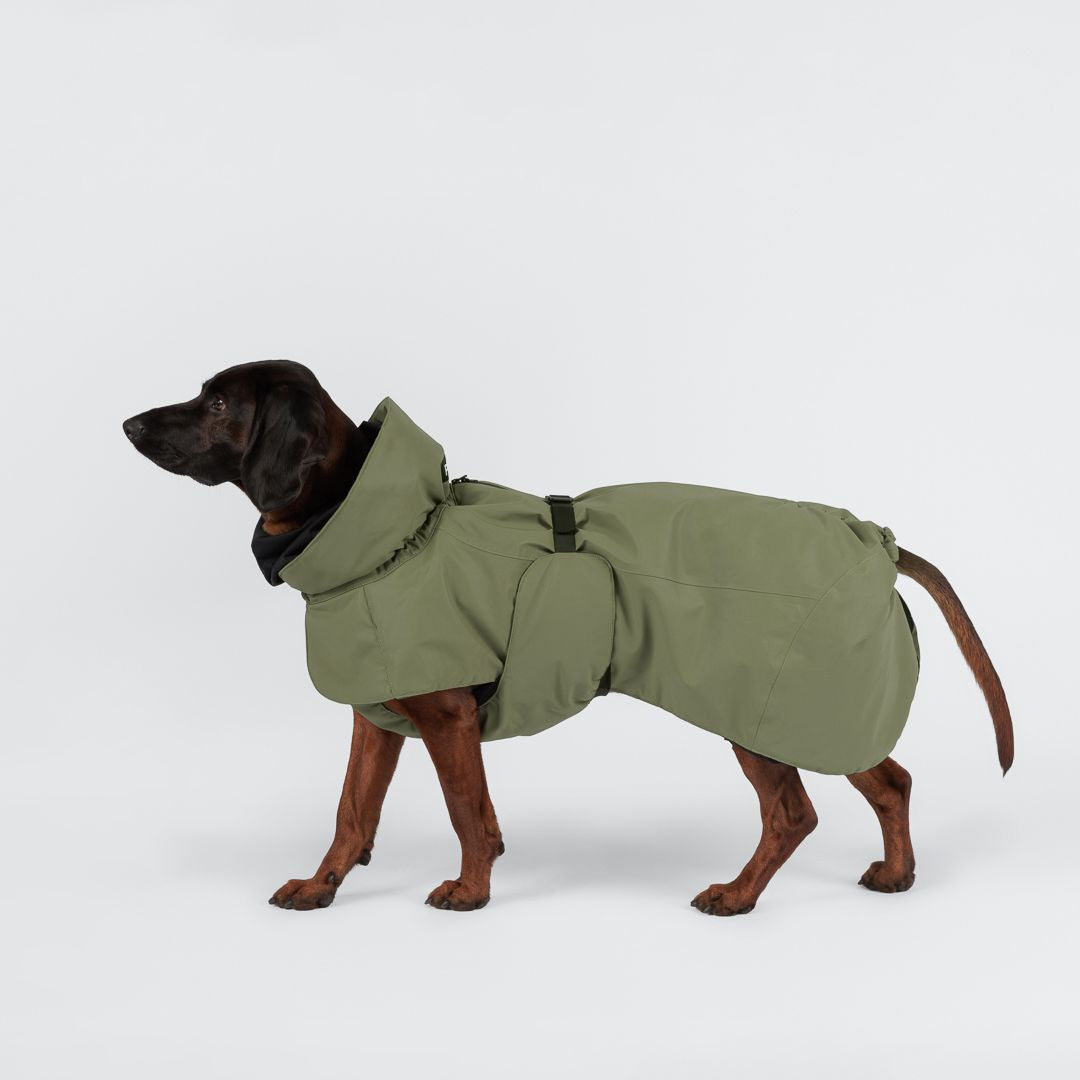 Paikka-Hundewintermantel-Seawool-Olive-3