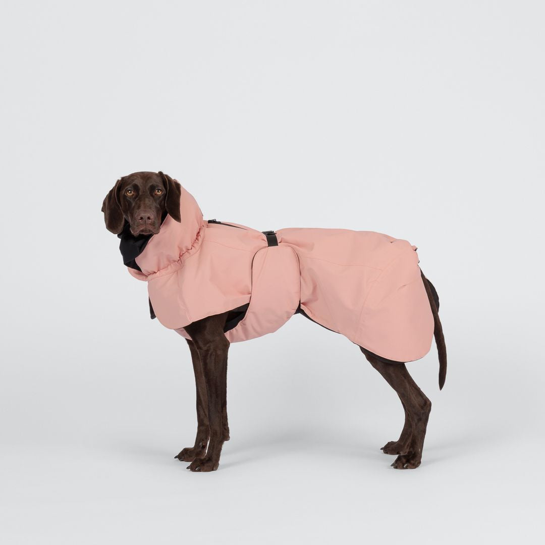 Paikka-Hundewintermantel-Seawool-Rose-2