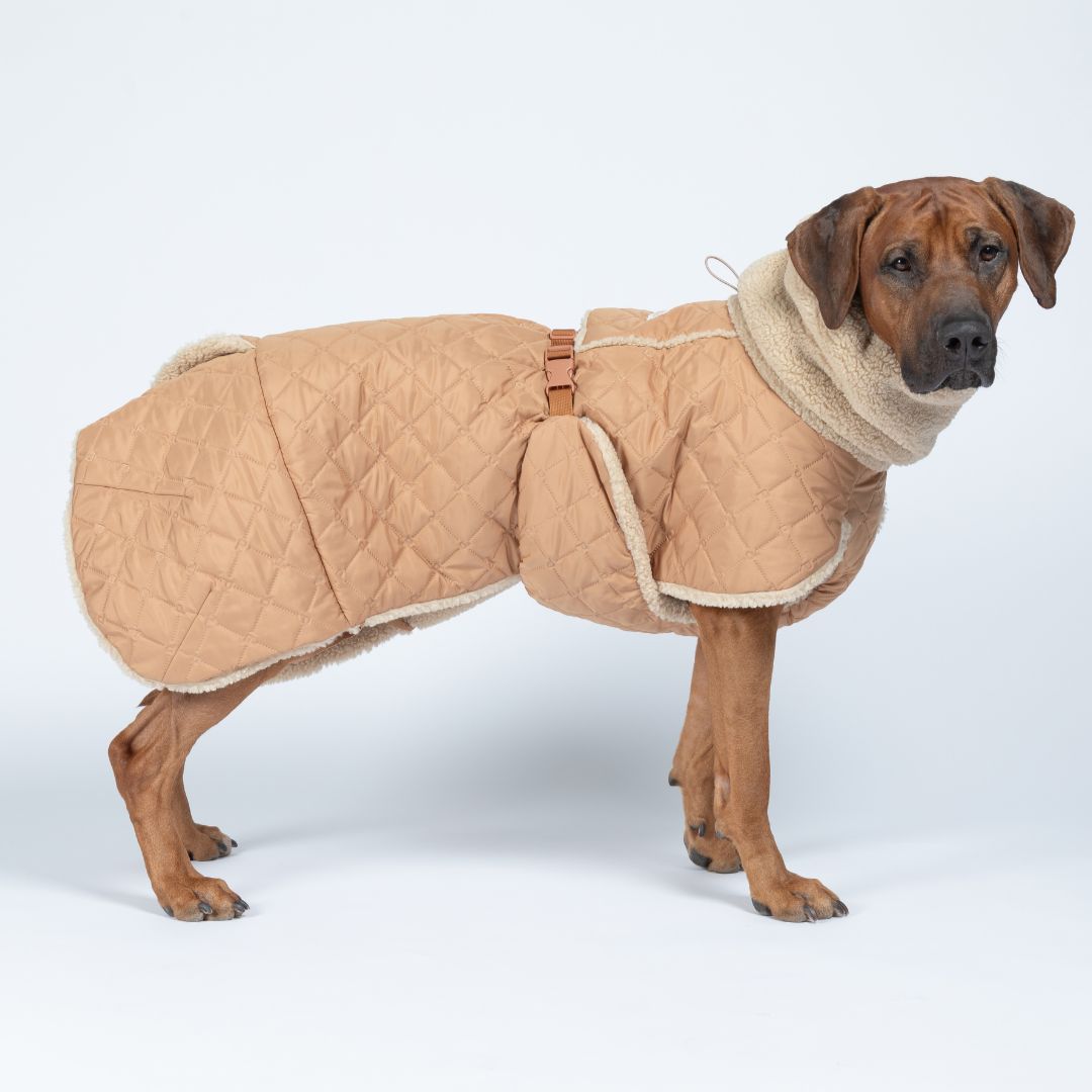 Paikka-Hundewintermantel-Sherpa-Camel-Hund