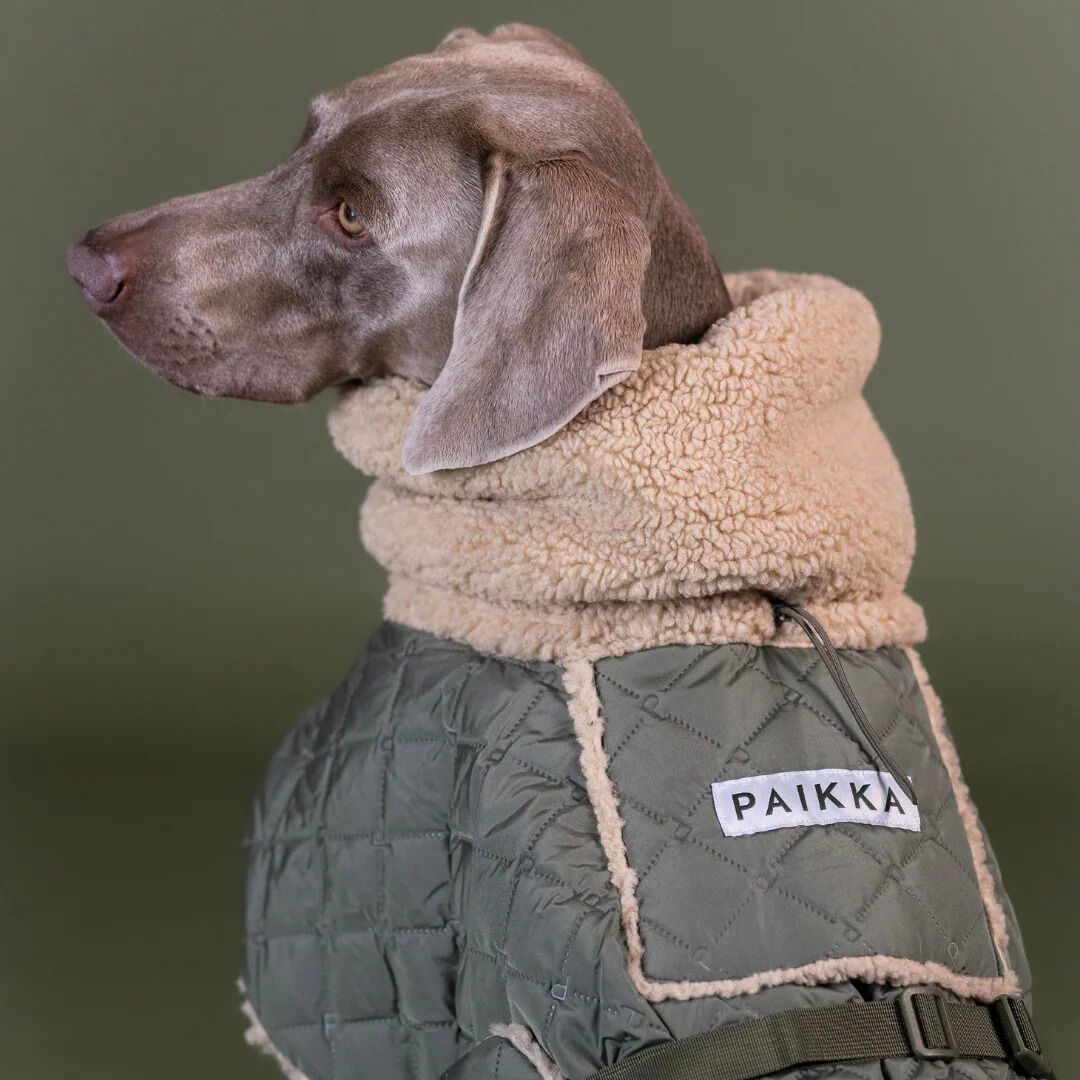 Paikka-Hundewintermantel-Sherpa-Olive-Hund2