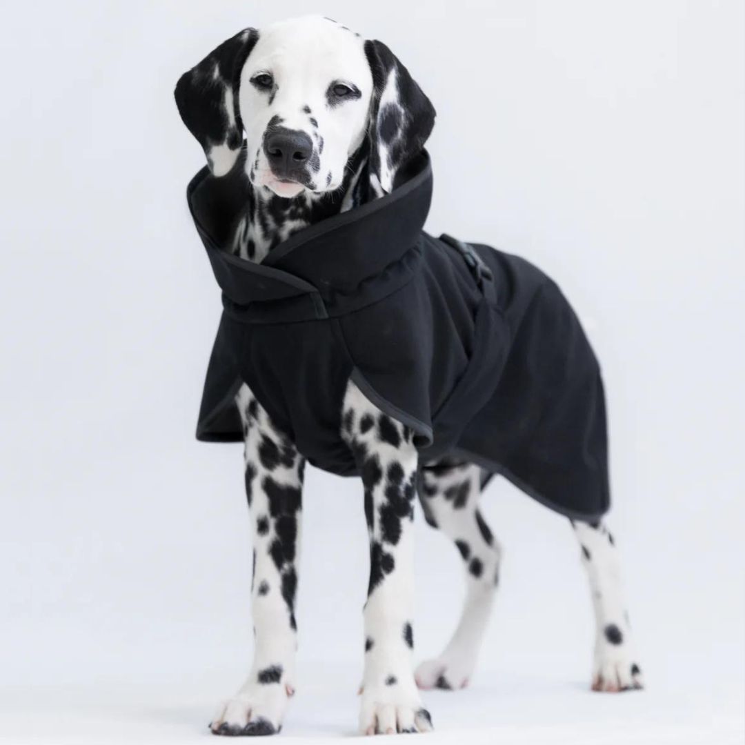 Paikka-Recovery-Softshelljacke-Schwarz-Hund