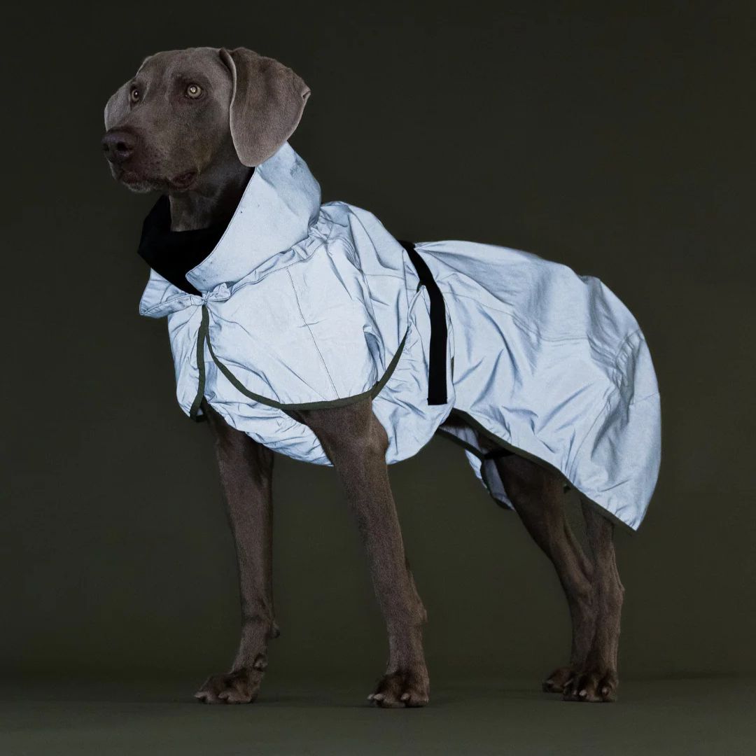 Paikka-Reflektierender-Hunderegenmantel-Green-Hund2