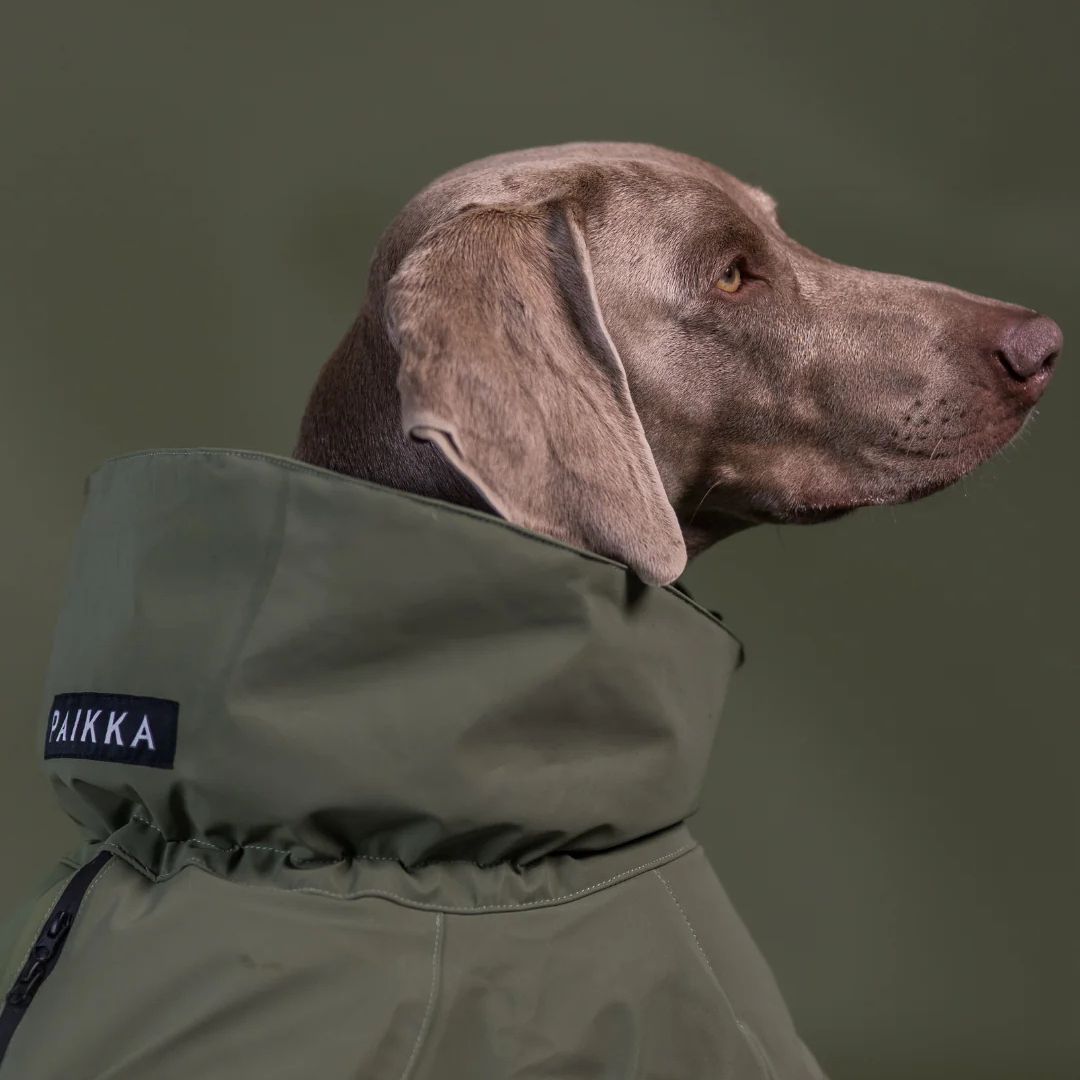 Paikka-Visibility-Hundewintermantel-Wool-Green-Hund