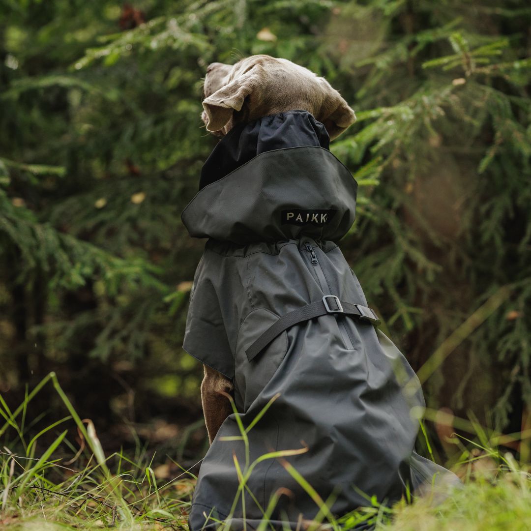 Paikka-Visibility-Raincoat-Seawool-Dark-Hund-2