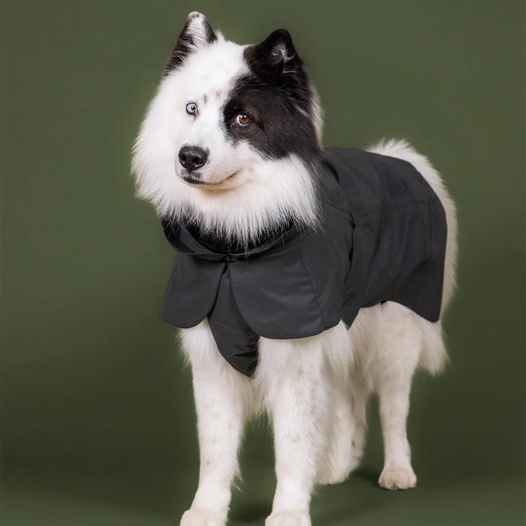 Paikka-Visibility-Raincoat-Seawool-Dark-Hund-8