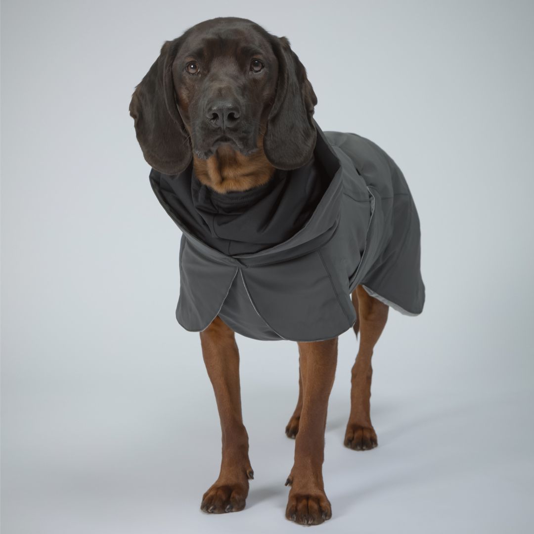 Paikka-Vollreflektierender-Hundewintermantel-Dark-Hund