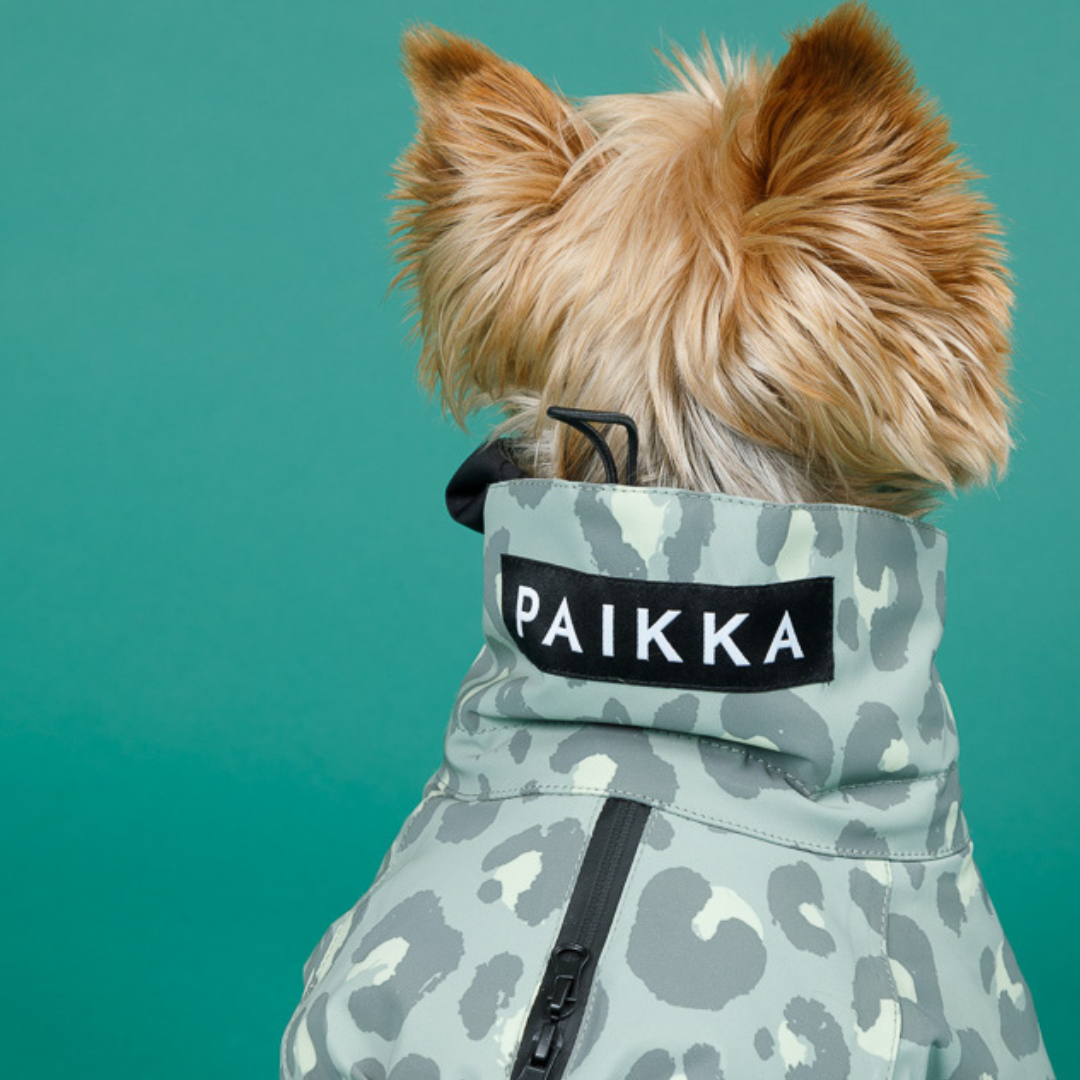 Paikka-Vollreflektierender-Hundewintermantel-Green-Leo-Hund2