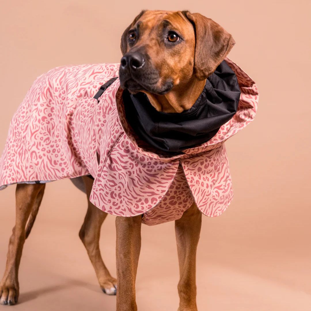 Paikka-Vollreflektierender-Hundewintermantel-Red-Mix-Hund