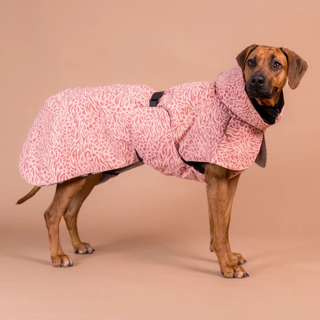 Paikka-Vollreflektierender-Hundewintermantel-Red-Mix-Hund2