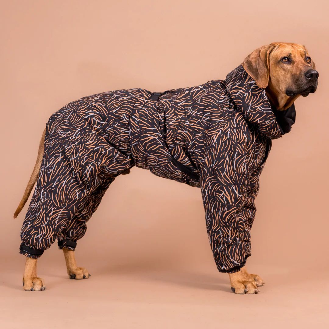 Paikka-Winter-Overall-Coal-Hund