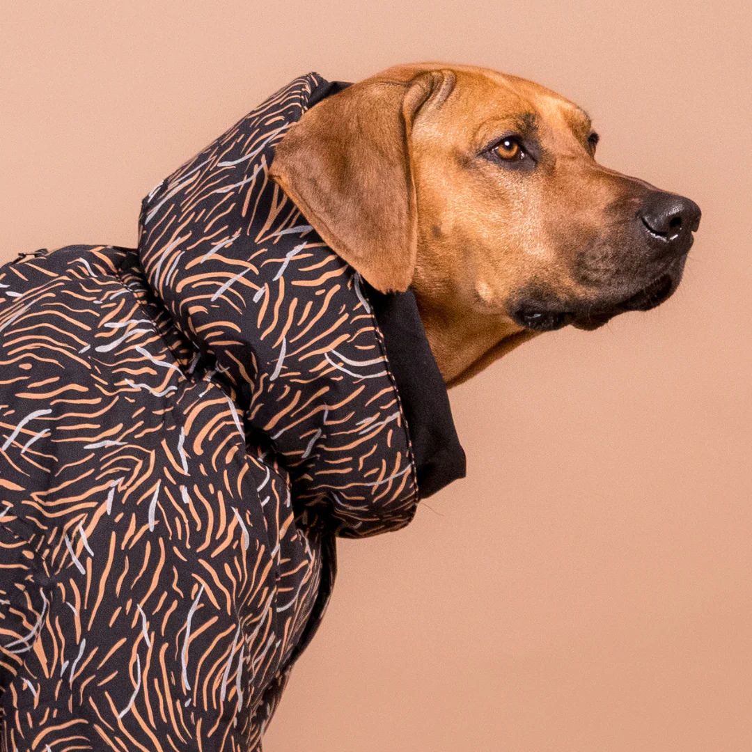 Paikka-Winter-Overall-Coal-Hund2