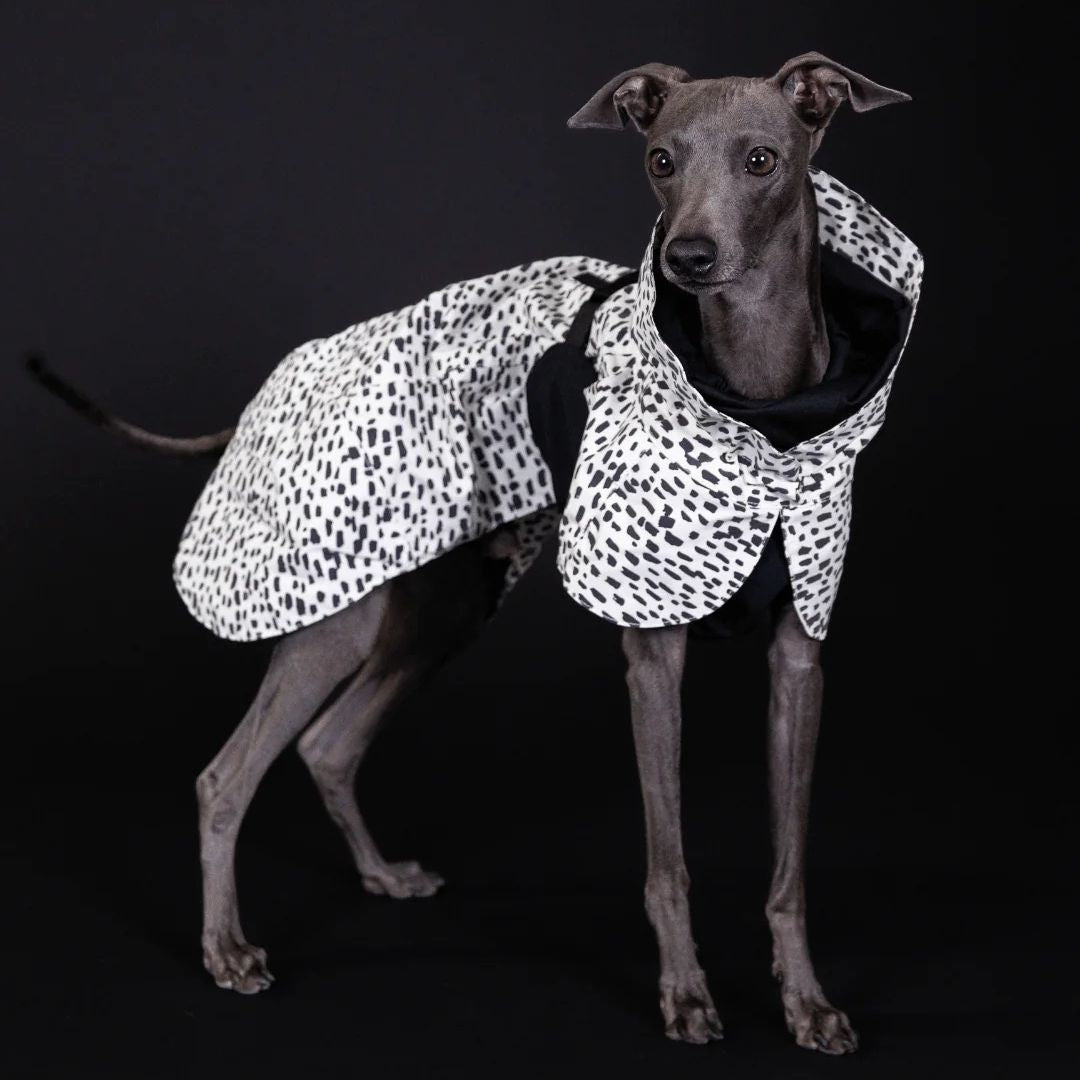 Paikka-vollreflektierender-Hunderegenmantel-2.0-Hund2