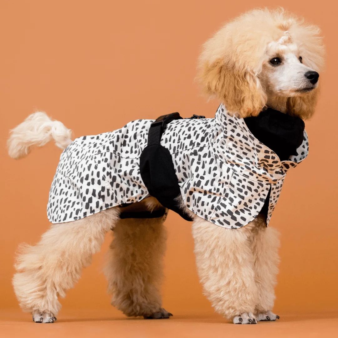 Paikka-vollreflektierender-Hunderegenmantel-2.0-Hund3