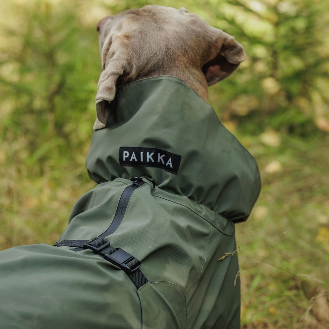 Paikka-vollreflektierender-Hunderegenmantel-Thyme-Hund5