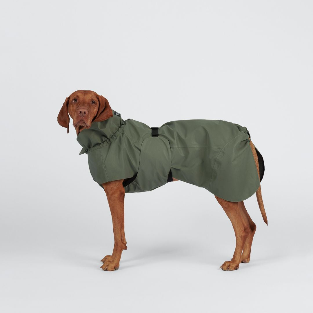 Paikka-vollreflektierender-Hunderegenmantel-Thyme-Hund7