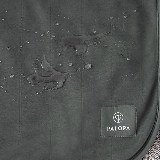 Palopa-Hunde-Schmutzmatte-Benti-Anthrazit-6