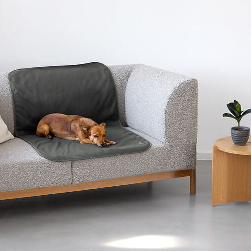 Palopa-Hunde-Schmutzmatte-Benti-Anthrazit-Mood2