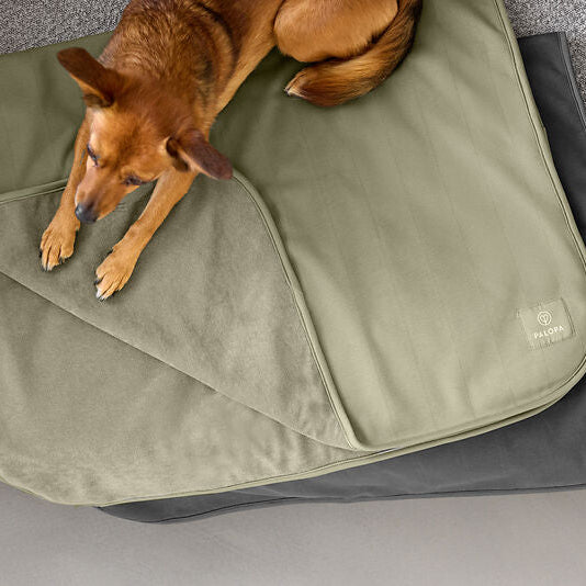 Palopa-Hunde-Schmutzmatte-Benti-Olive-Grün-Anthrazit-Mood